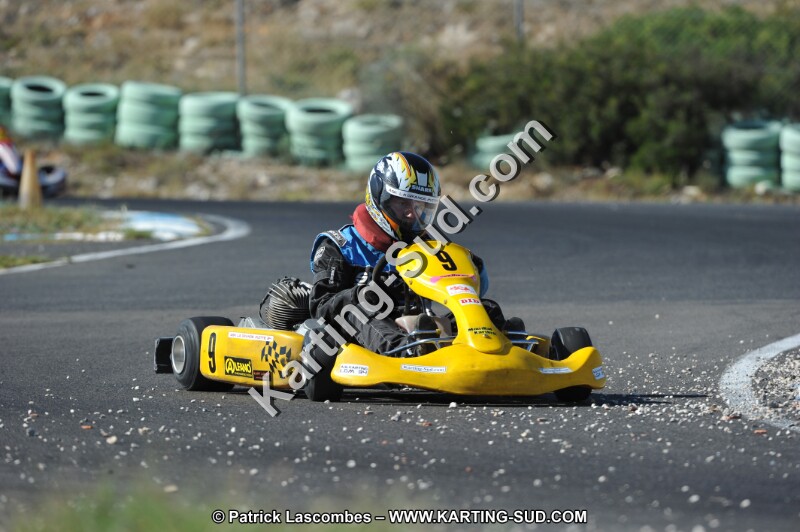 DSC (1226).JPG